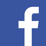 mini facebook logo.fw